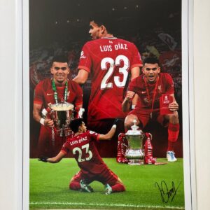 Luis Diaz Signed Montage (16x12)